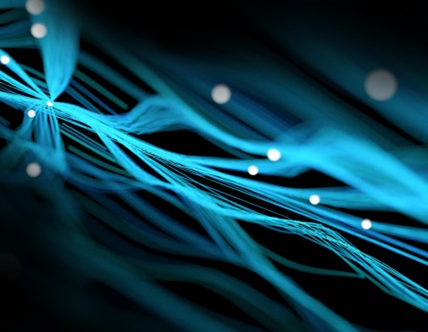 Workday-mobile-428x332