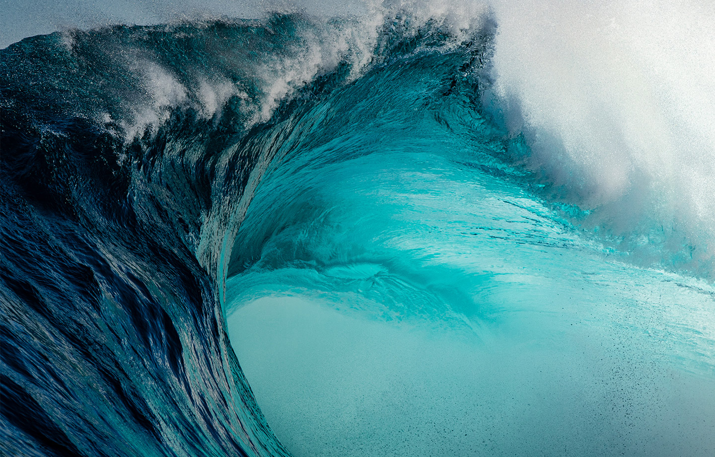 Disaster Case Management