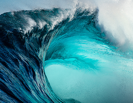 Disaster Case Management