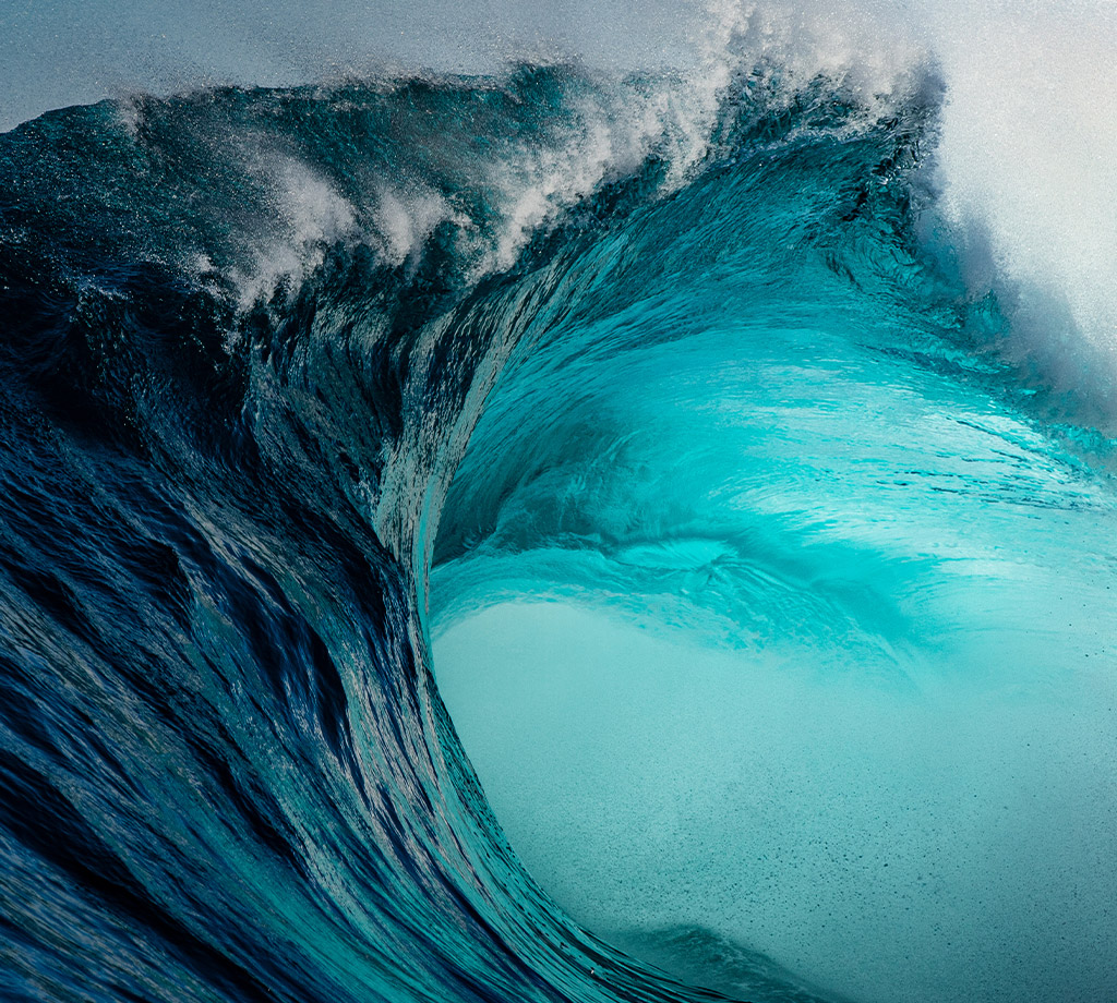 Disaster Case Management