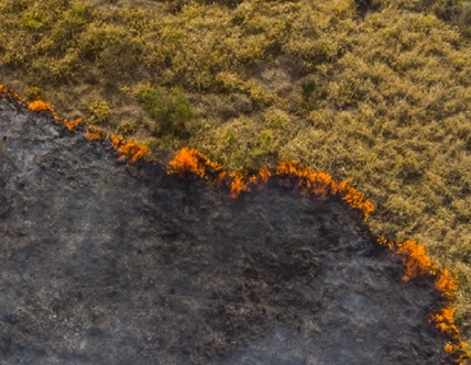 disasterrecovery-428x332