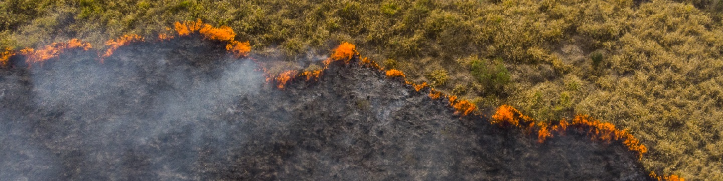 CDBG-General-Banner1440x360