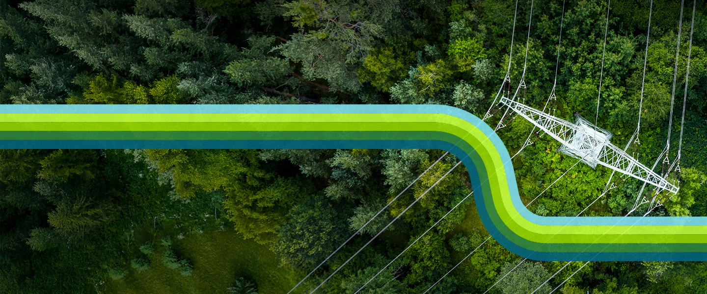 Powerlines and trees with artistic lines