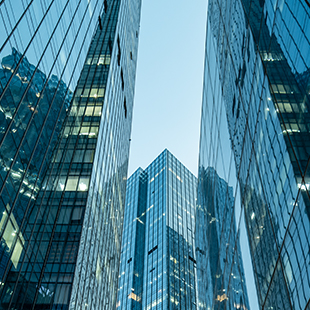 buildings and lights