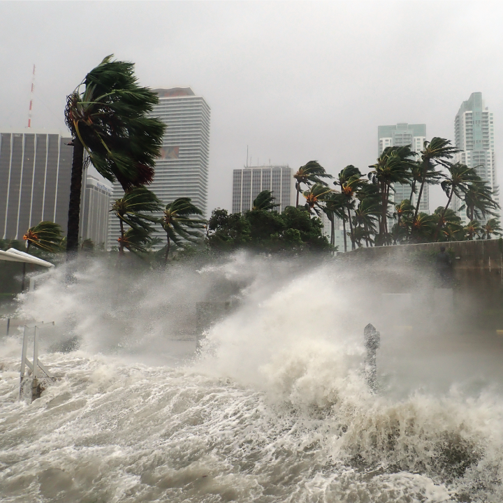 NEMA Mid Year Guidehouse