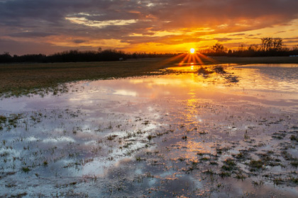 Modernizing FEMA Programs