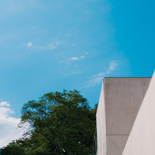 Trends Guide-Report CTA-government