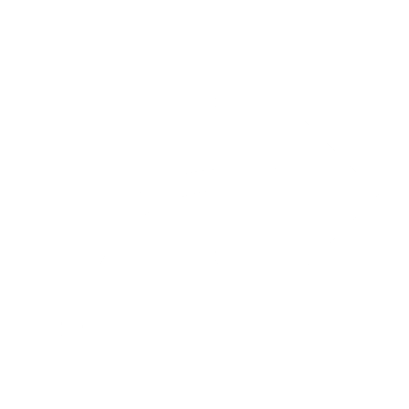 icon-two arrows pointing up