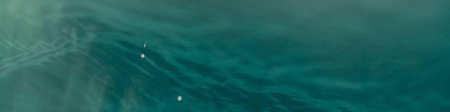 Revenue Cycle Management  Blue Water with Sun