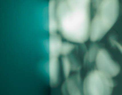 Sector_Headers_hc-payers-428x332-27