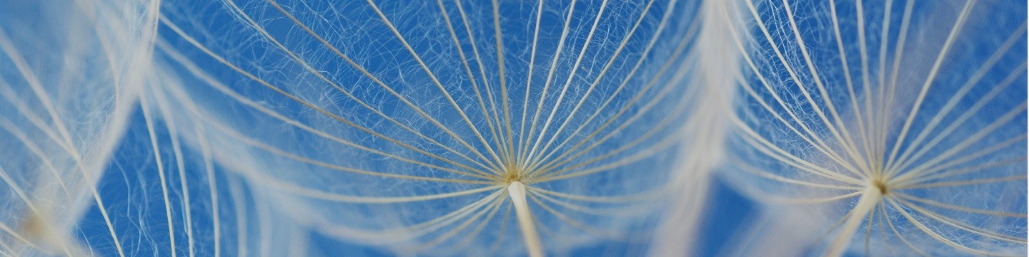 Services-People-Organization-Hero-Large-1440x600