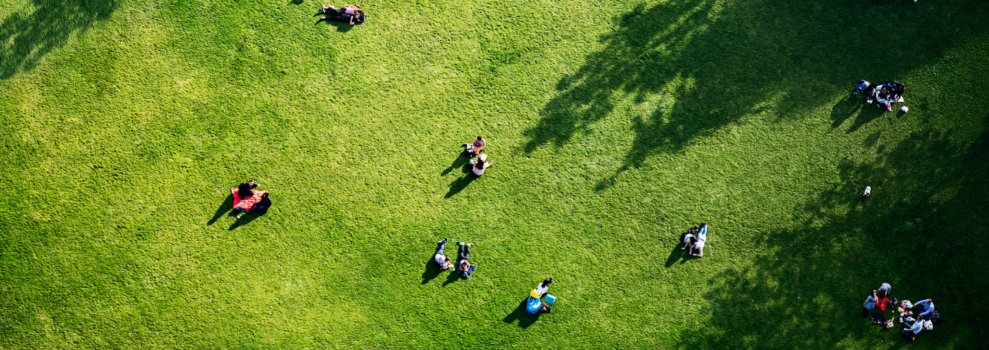 people-sitting-in-a-park