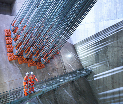 Construction workers in orange