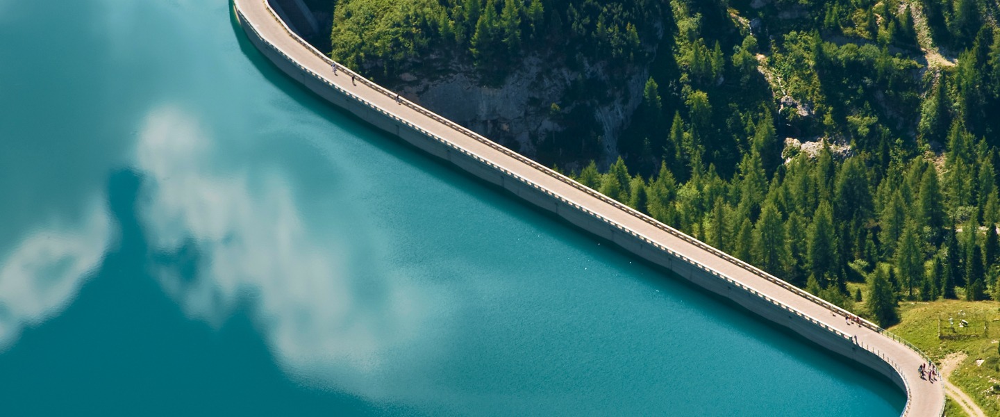 A winding bridge between a blue body of water and green lush forest.