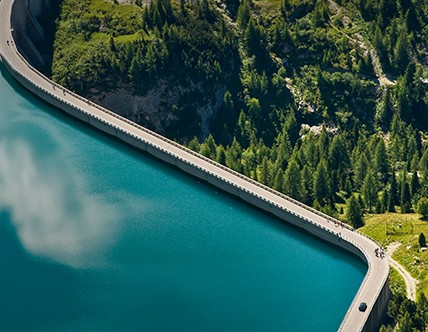 A winding bridge between a blue body of water and green lush forest.