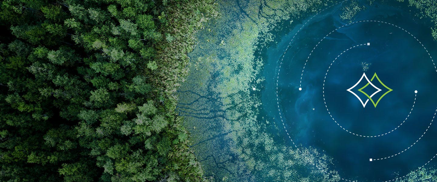 2025 Managed Services Guide