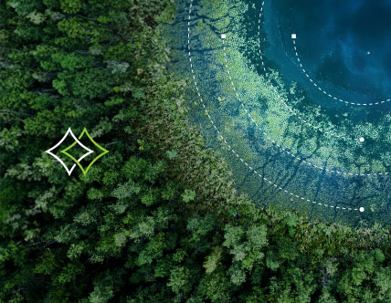 2025 Managed Services Guide 