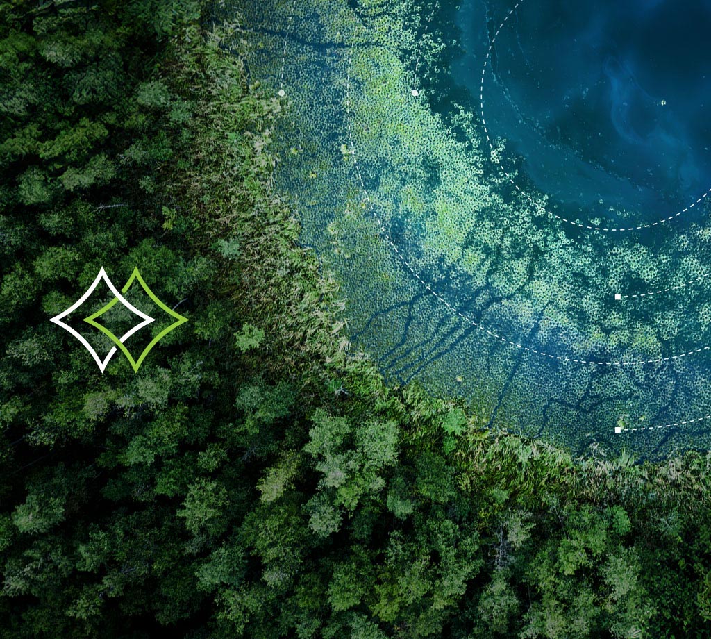 Managed-Services-Guide-tablet-1024x920