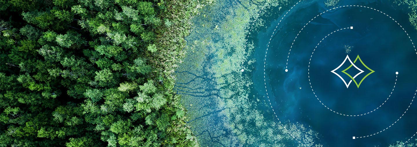 Pine trees and blue water with GH branding lines