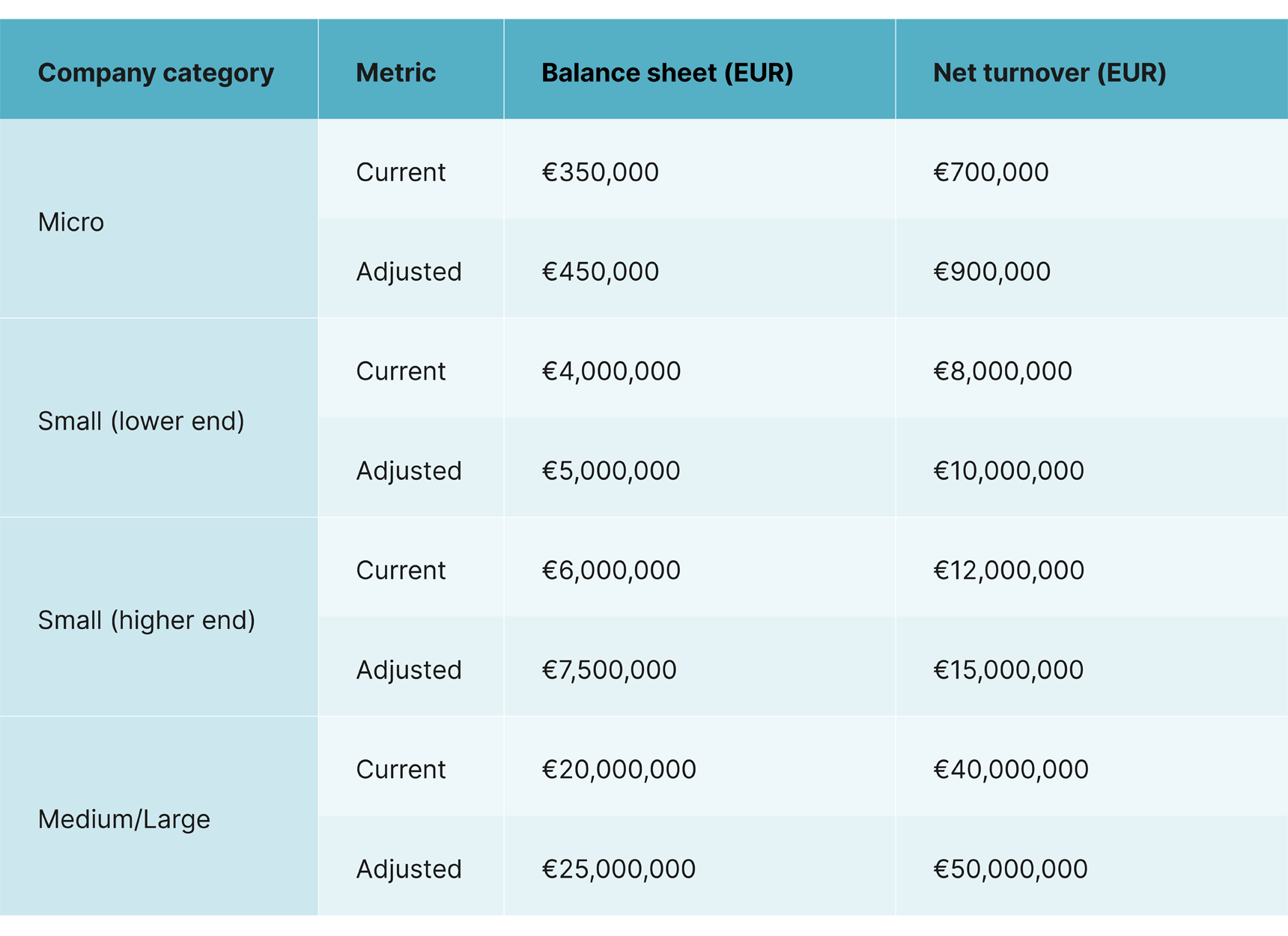 CSRD Size Categorization