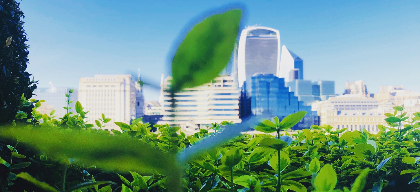 health system energy efficiency, health system decarbonization