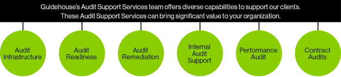 Audit Support Services