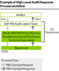 Audit Support Services